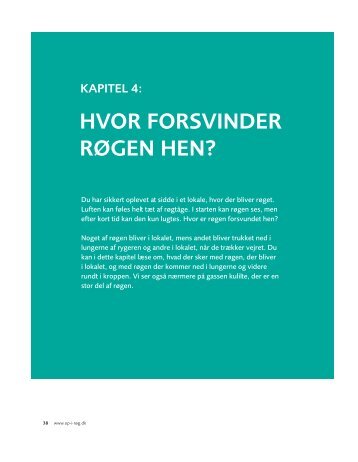 Kapitel 4 - Hvor forsvinder røgen hen? - Gå op i røg