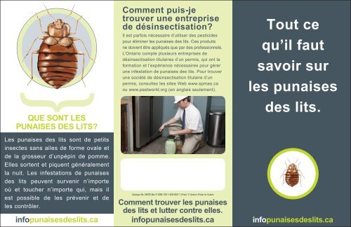 Tout ce qu'il faut savoir sur les punaises des lits. - Bed bugs