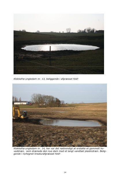 Naturplejeprojekt 2009-10 på Glænø - Slagelse Kommune