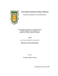 El aprendizaje colaborativo y el trabajo del tutor - Instituto de ...