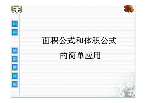 面积公式和体积公式的简单应用