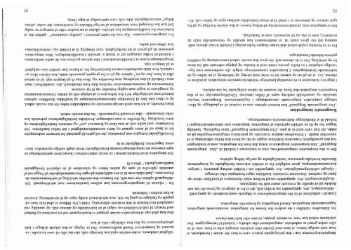 Den Integrerende Baggrund