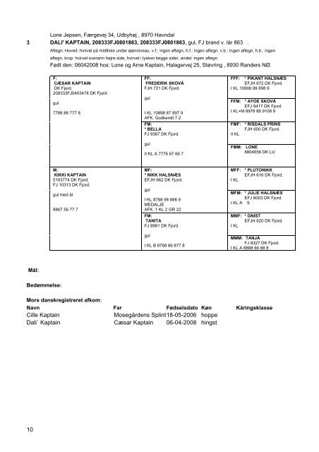 Fjordhesten Danmark - foreningen for avl og sport