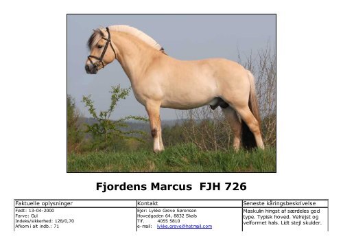 Fjordens Marcus