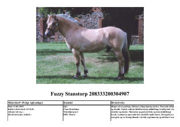 Fuzzy Stanstorp