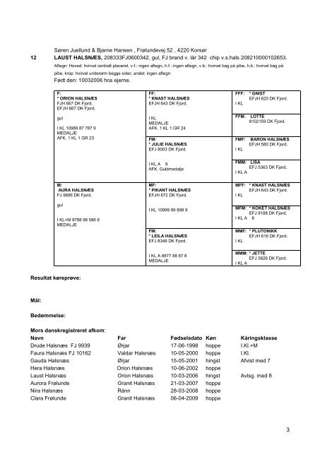 Fjordhesten Danmark - foreningen for avl og sport