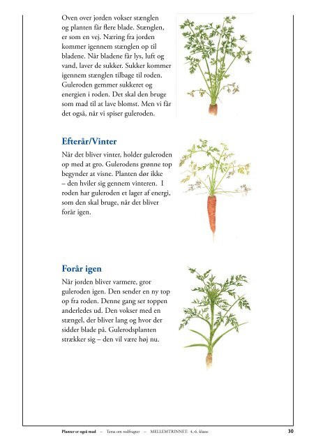 Mellemtrinnet: Grøntsager/GULERØDDER (lærer+elev+opgaver)