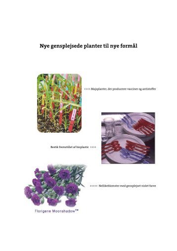 Nye gensplejsede planter til nye formål - Teknologirådet