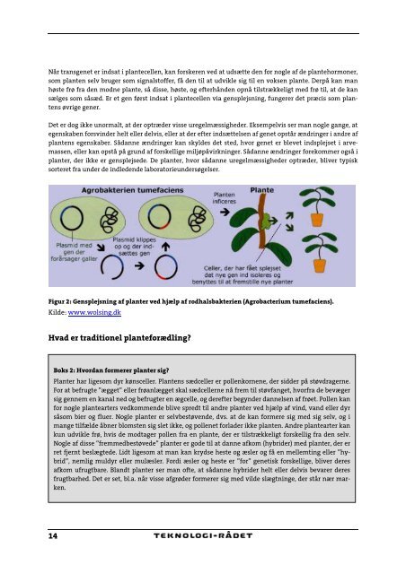 Nye gensplejsede planter til nye formål - Teknologirådet
