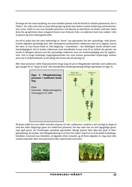 Nye gensplejsede planter til nye formål - Teknologirådet