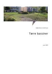 Tørre bassiner (916 KB) - LAR i Danmark