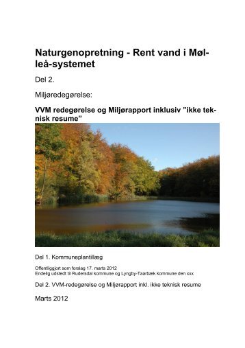 VVM redegørelse - Naturstyrelsen