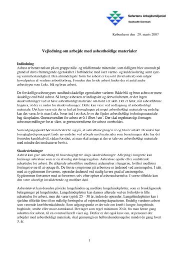 Hent vejledning i pdf format for arbejde med asbest - Søfartens ...