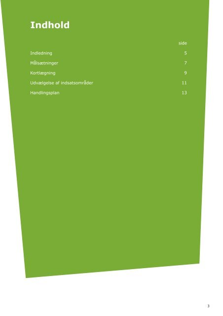 Udkast til Trafiksikkerhedsplan 2009-2012 - Slagelse Kommune