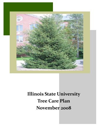Illinois State University Tree Care Plan November 2008 - Facilities ...