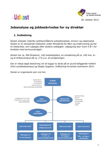 Jobanalyse og jobbeskrivelse for ny direktør - Århus Social- og ...