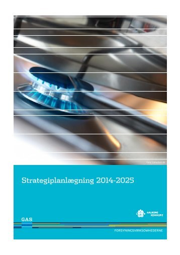 Strategiplan 2014-2025 for Aalborg Forsyning, Gas