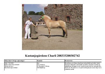 Kastanjegårdens Charli 208333200302742