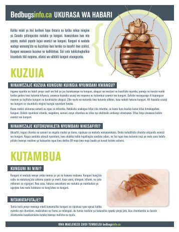 KUZUIA KUTAMBUA - Bed bugs