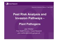 Pest Risk Analysis and Invasion Pathways - - International Forest ...