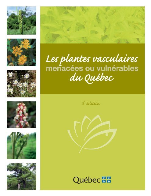 2008 (pdf) - Centre de données sur le patrimoine naturel du Québec ...