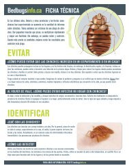 EVITAR IDENTIFICAR - Bed bugs