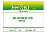 CONSÓRCIO ETDI RNEST