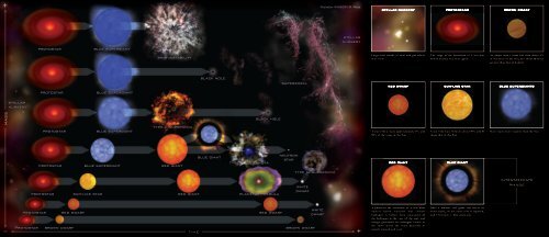 Stellar evolution - Chandra X-ray Observatory