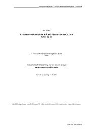 PDF: oprindelig tekst til Bolivia A - Moesgård Museum