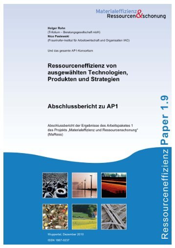 MaRess_AP1_9.pdf - Publication Server of the Wuppertal Institute ...