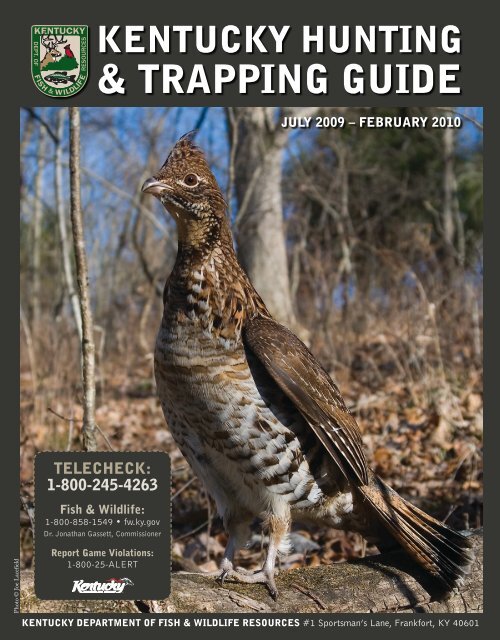 TRAPPING PAMPHLET  32 BEST WEASEL TRAPPING LURE FORMULAS    TRAP TRAPPER 