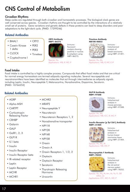 NOVUS BIOLOGICALS ANTIBODIES FOR - BioNova