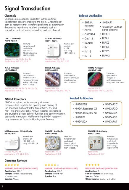 NOVUS BIOLOGICALS ANTIBODIES FOR - BioNova