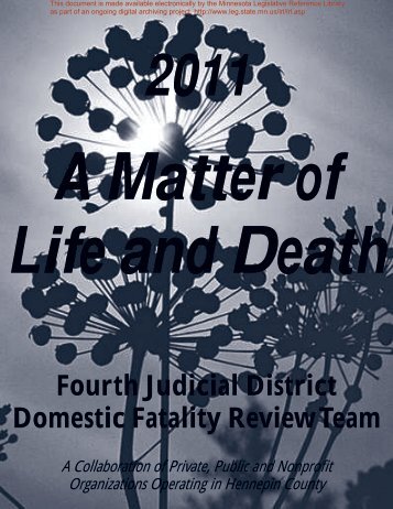 Fourth Judicial District Domestic Fatality Review Team - Minnesota ...