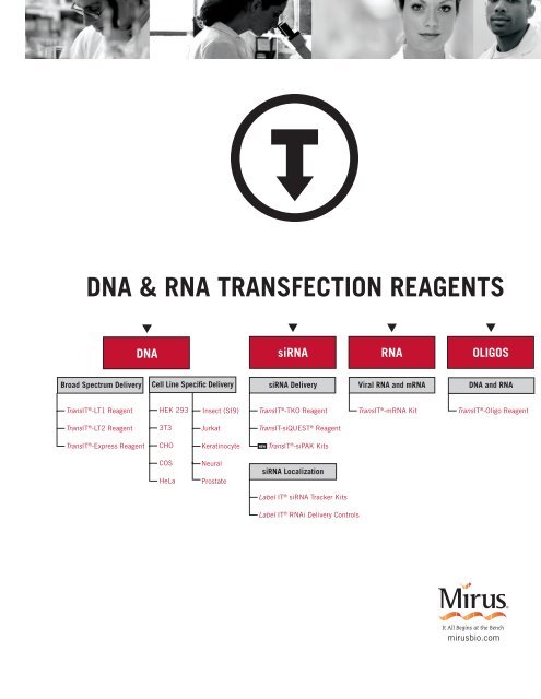 DNA & RNA TRANSFECTION REAGENTS - BioNova