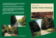 Aktieselskabet Sønder Omme Plantage 1901 - 2001