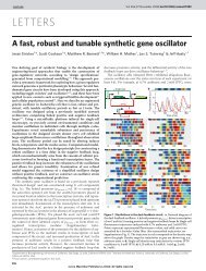 A fast, robust and tunable synthetic gene oscillator - The BioCircuits ...