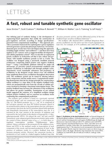 A fast, robust and tunable synthetic gene oscillator - The BioCircuits ...