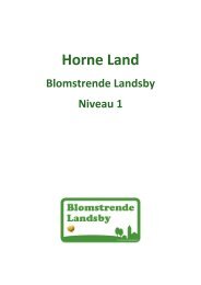 Link til optagelsesansøgning Horne Land - Blomstrende Landsby