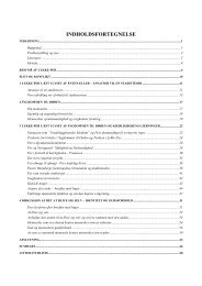 PDF-version - Henrik Pontoppidan
