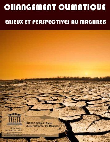 Bilan 2007 des changements climatiques - Visit zone-secure.net