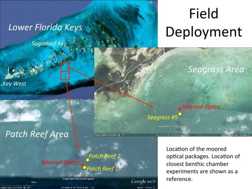 UAS High Resolu on Assessment of Carbon Dynamics in Seagrass ...