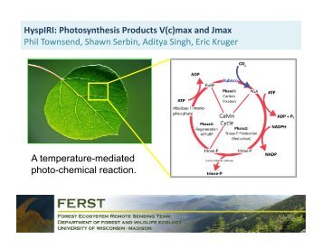 Photosynthesis Products V(c)max and Jmax Phil Townsend ... - NASA