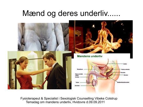 Mænd og deres underliv...... - GynObsGruppen