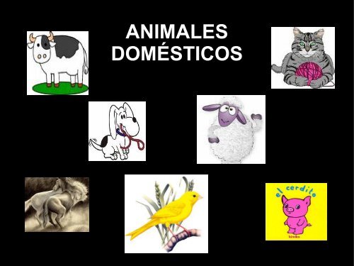 ANIMALES DOMÉSTICOS