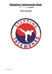 (mon) Pensum - Stepping