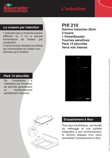 L'induction PHI 210