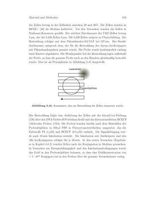 Inaktivierung von Proteinen und Zellen durch Laserbestrahlung von ...