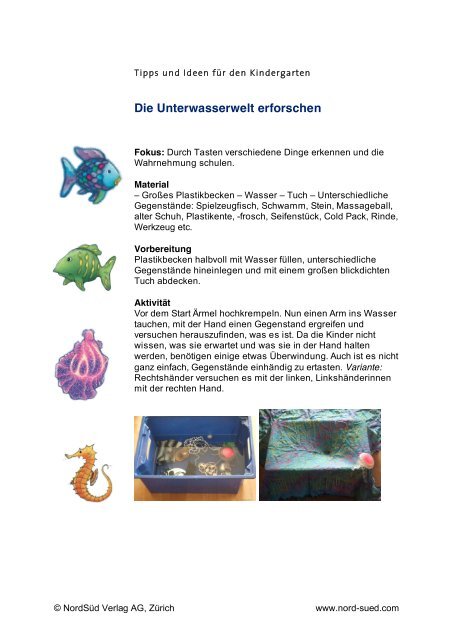Die Unterwasserwelt erforschen