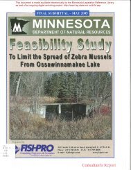 Consultant's Report - Minnesota State Legislature